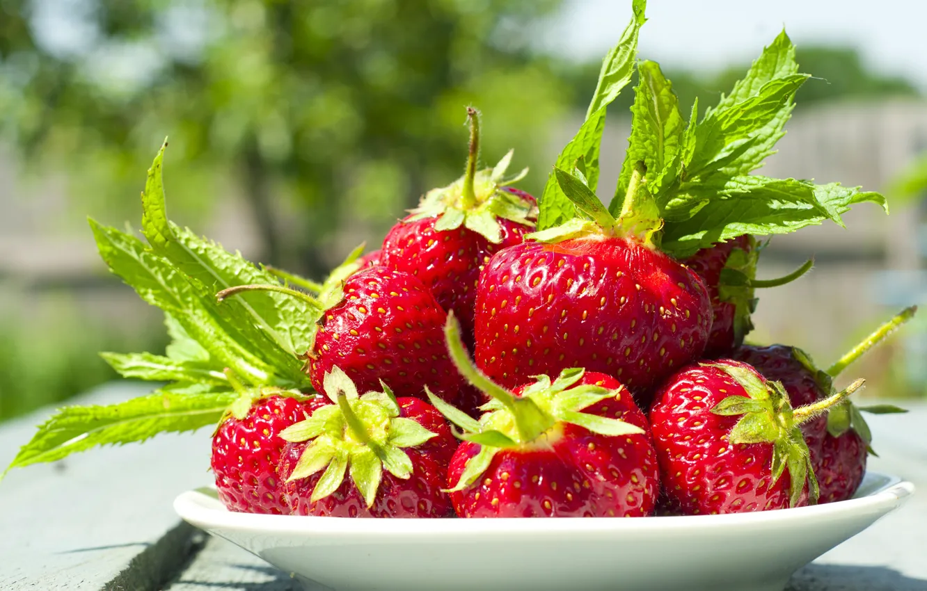 Photo wallpaper leaves, strawberry, berry, bowl