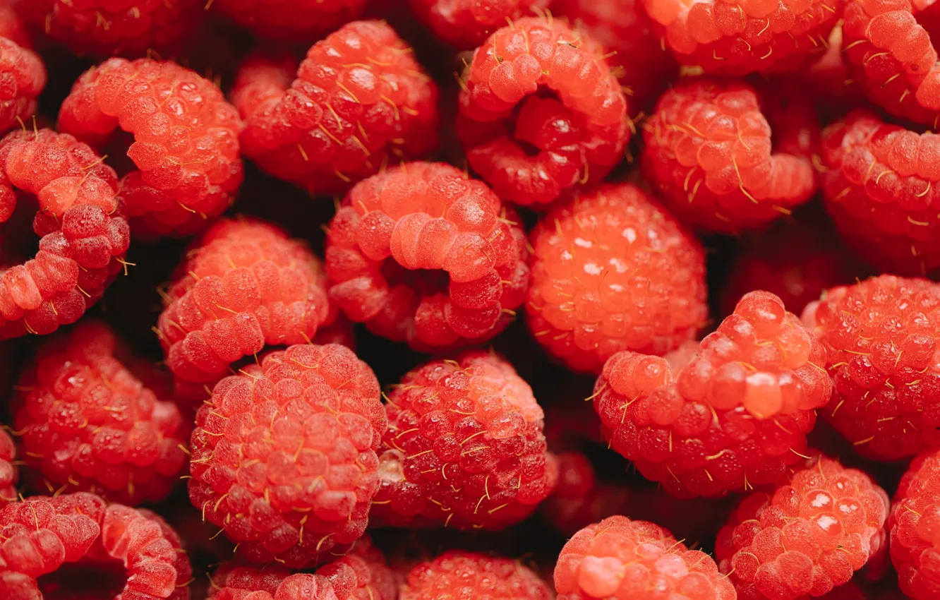 Photo wallpaper berries, raspberry, red, a lot, bokeh
