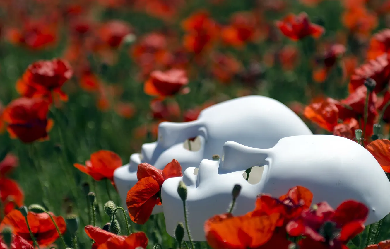 Photo wallpaper flowers, face, Mac, mask