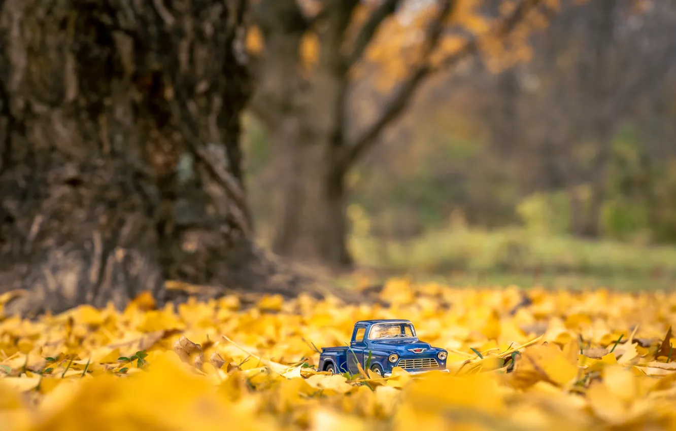 Photo wallpaper machine, autumn, trees, Park, foliage, toy, car, machine