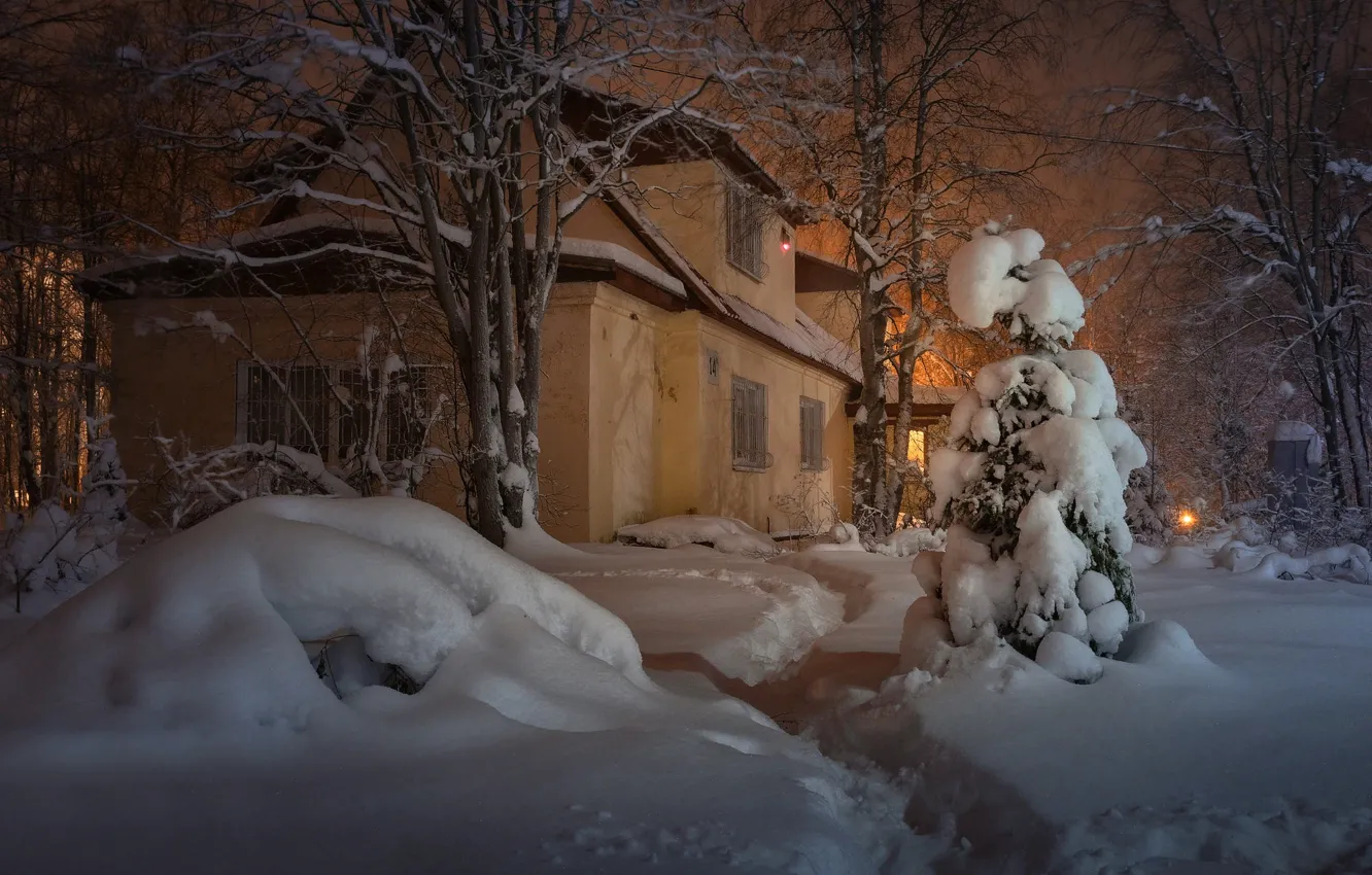 Photo wallpaper winter, snow, trees, landscape, house, the evening, lighting, the snow