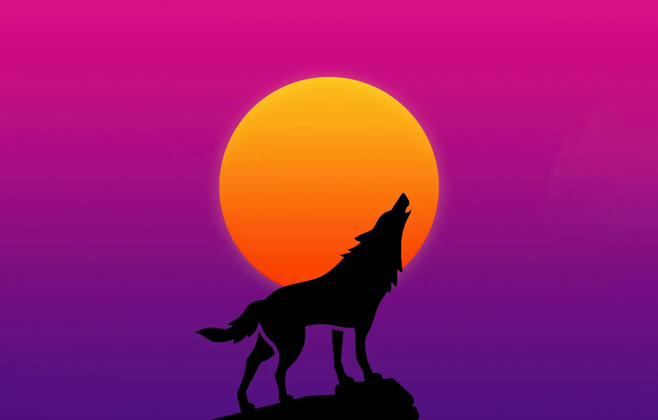 Photo wallpaper animal, the moon, wolf, predator, silhouette, moon, howl, predator