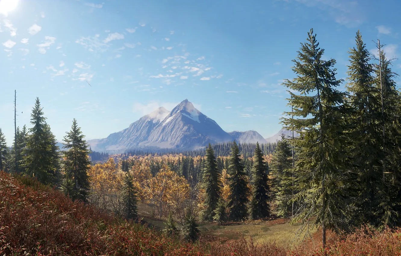 Photo wallpaper The sky, Nature, Mountains, The game, Autumn, Trees, Forest, Spruce
