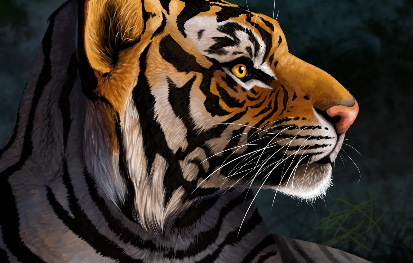 Photo wallpaper Tiger, Predator, Art, Black background, Wild cat, Side, Big cat