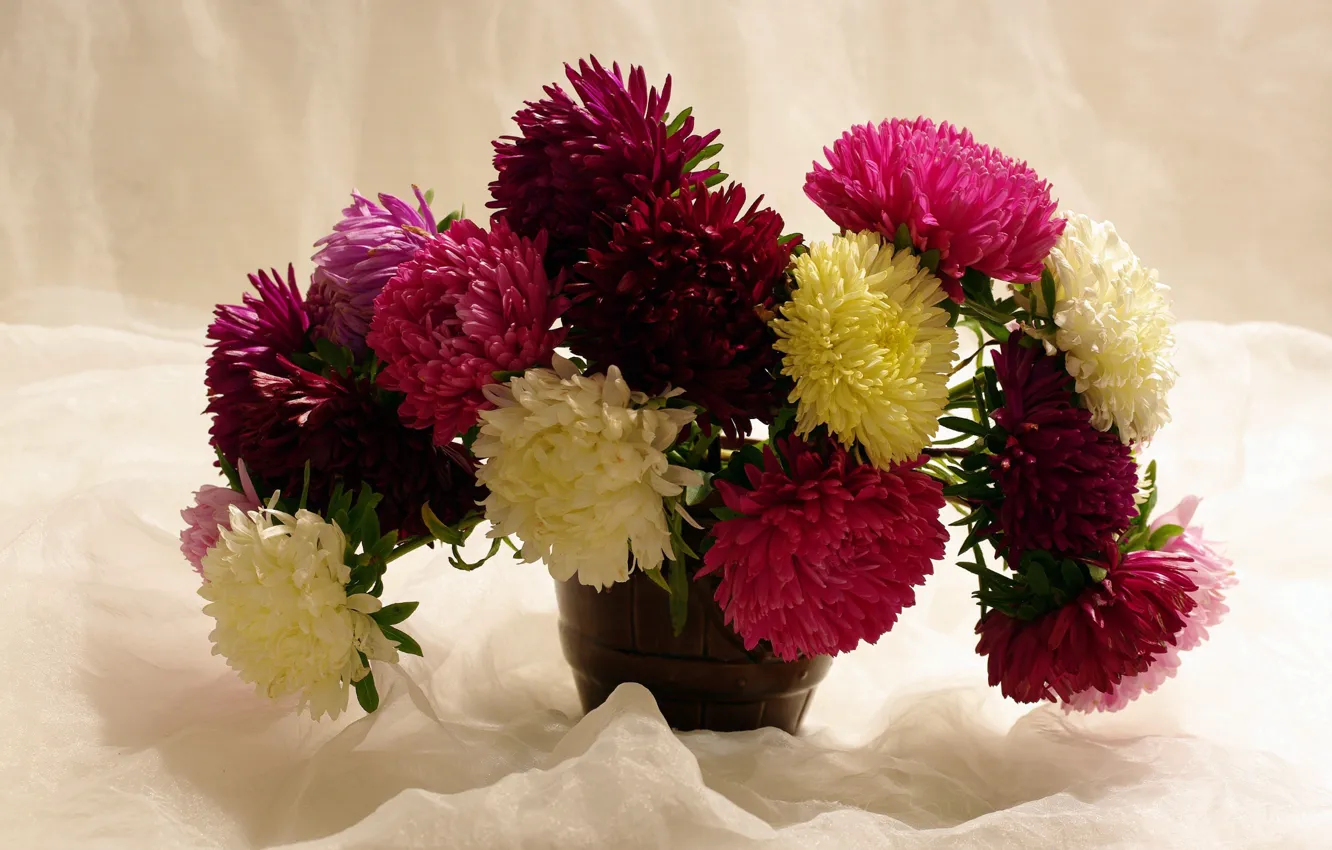 Photo wallpaper autumn, flowers, nature, holiday, beauty, bouquet, October, a bunch