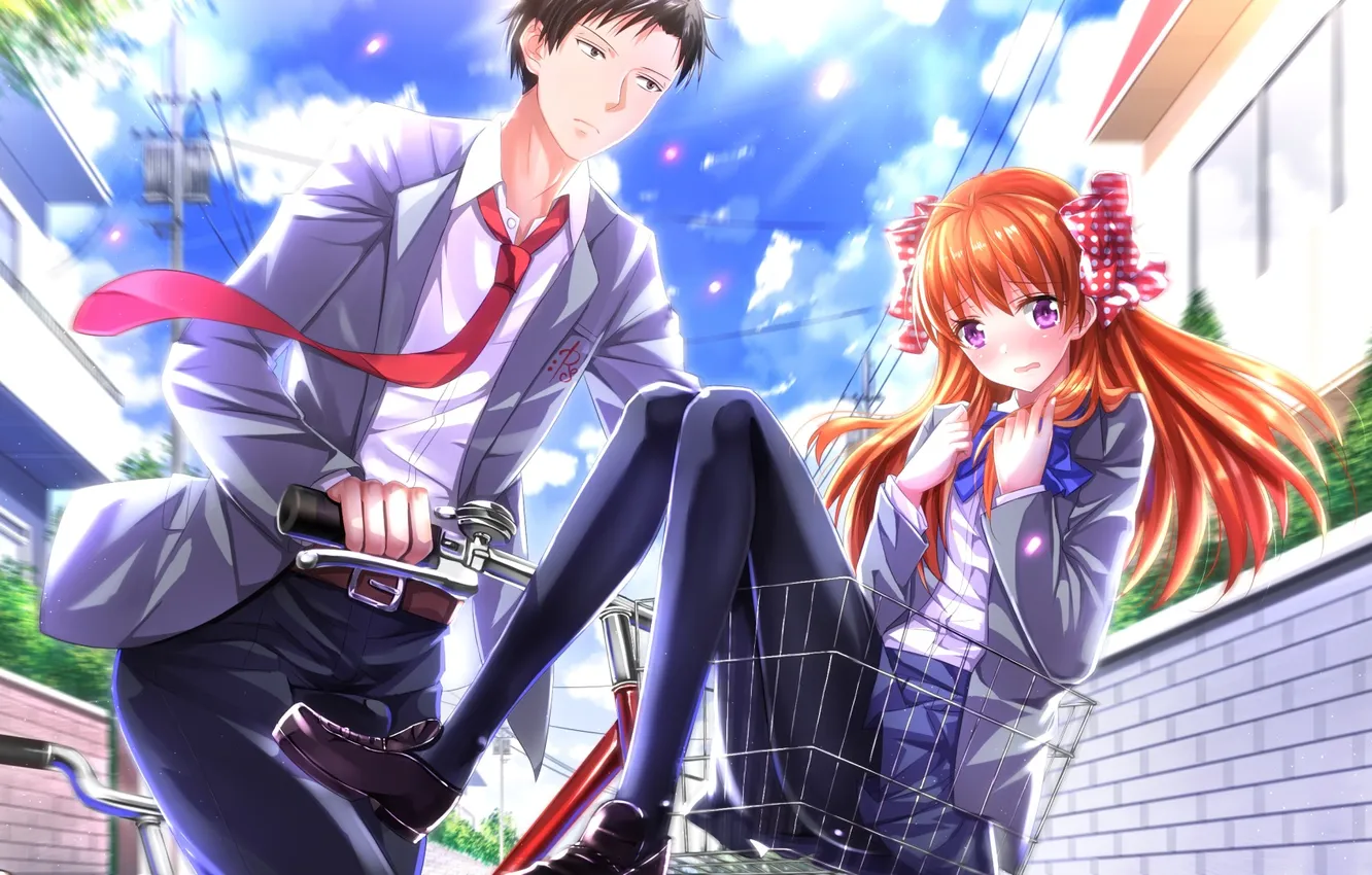 Photo wallpaper girl, bike, indifference, guy, art, trip, embarrassment, swordsouls