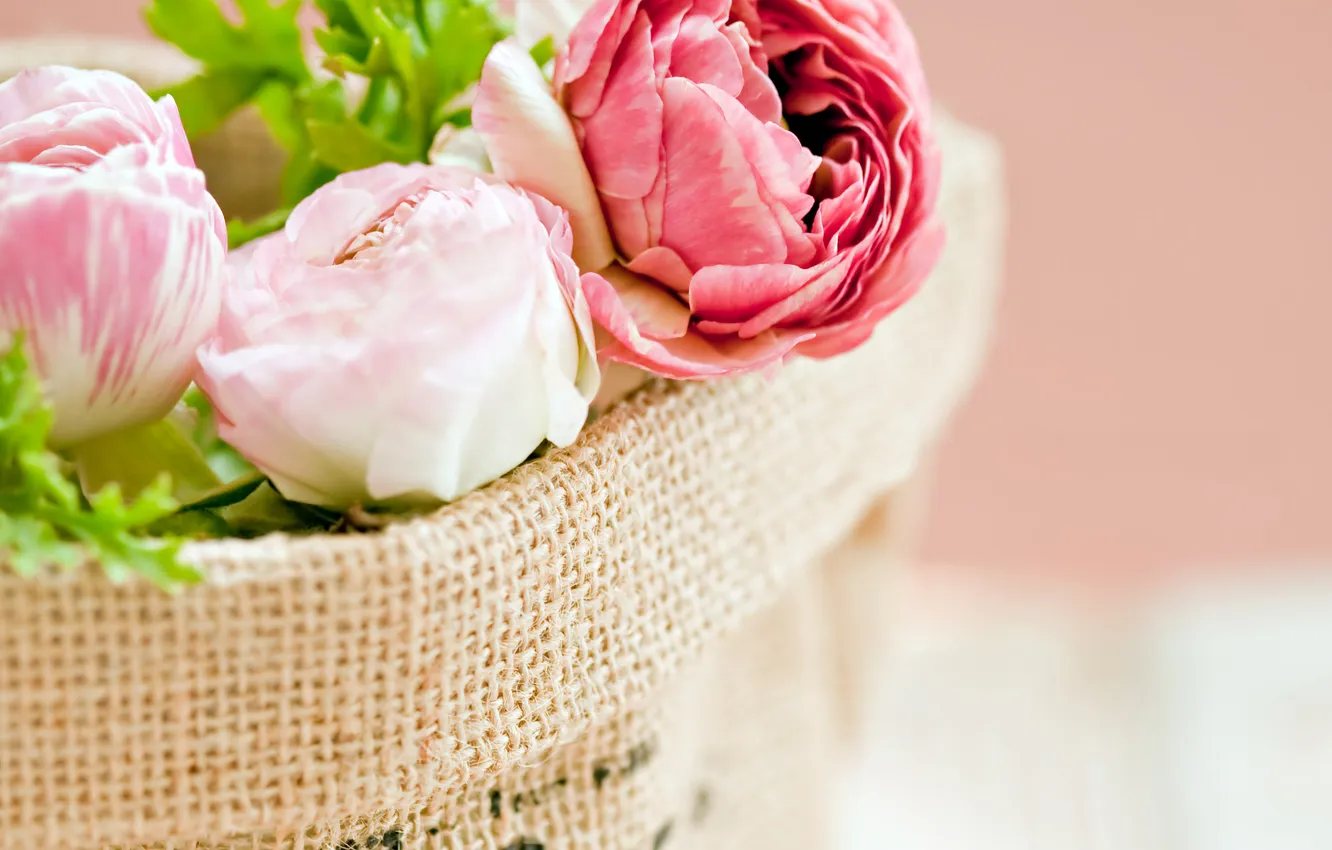 Photo wallpaper flowers, bouquet, petals