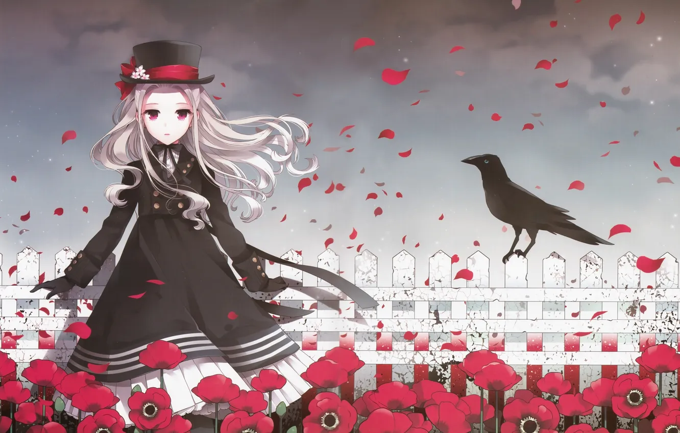 Photo wallpaper flowers, the fence, Maki, hat, petals, girl, Raven