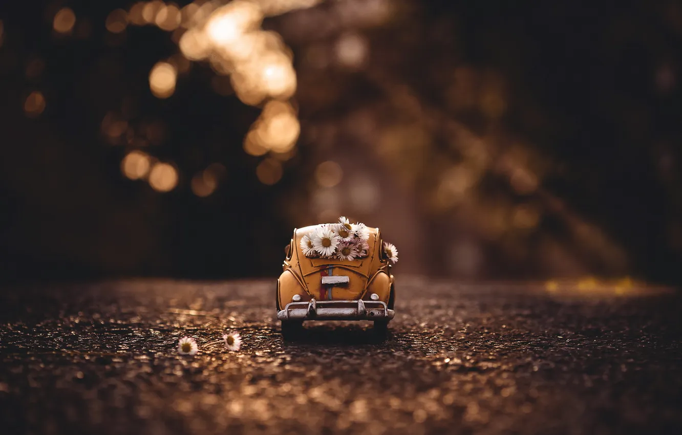 Photo wallpaper flowers, toy, machinw