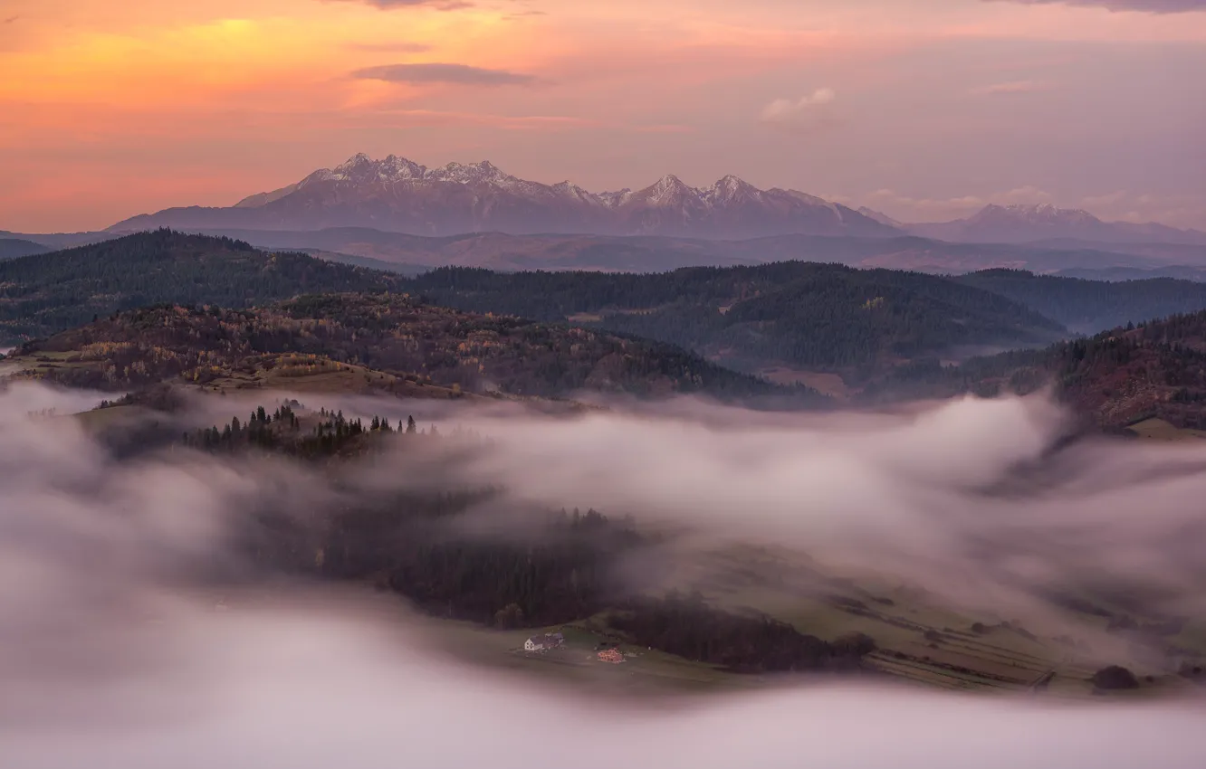 Photo wallpaper forest, the sky, clouds, light, mountains, fog, morning, valley