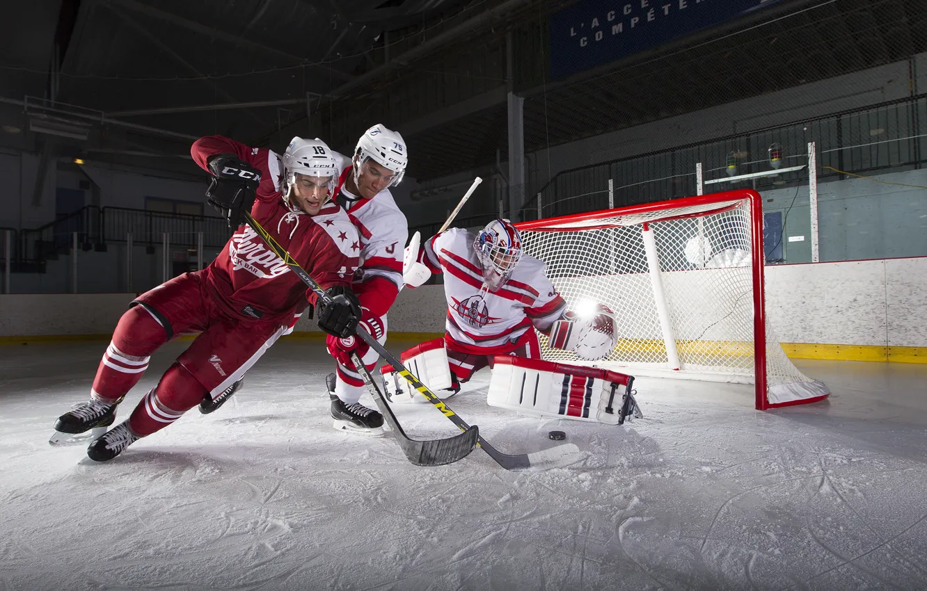 Photo wallpaper sport, the game, hockey