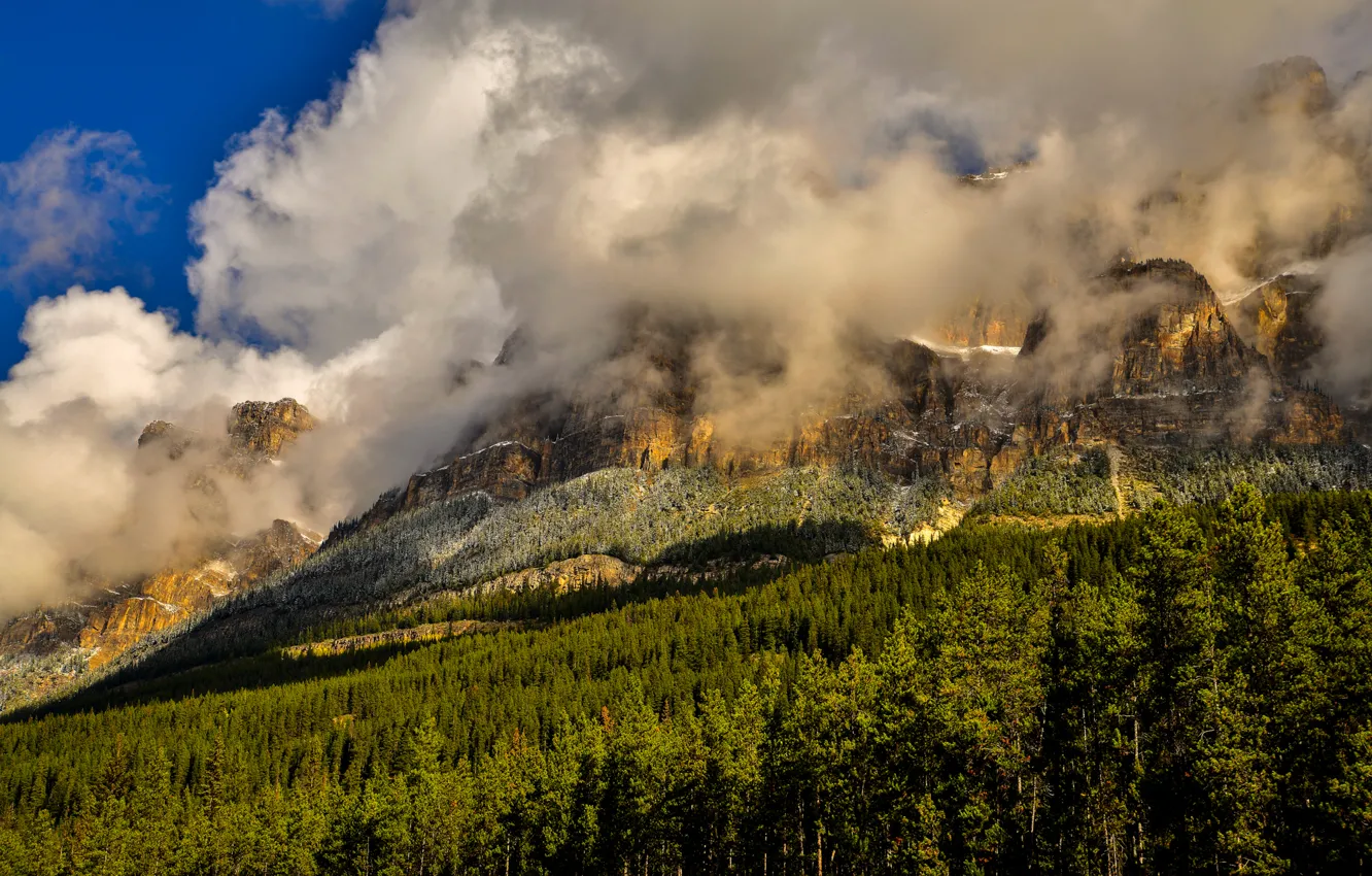 Photo wallpaper forest, clouds, trees, mountains, rocks, Canada, Banff National Park, Banff