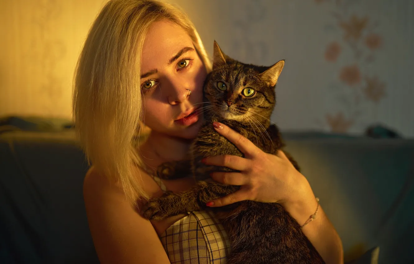 Photo wallpaper cat, cat, look, girl, face, hand, blonde, Sergey Bogatkov