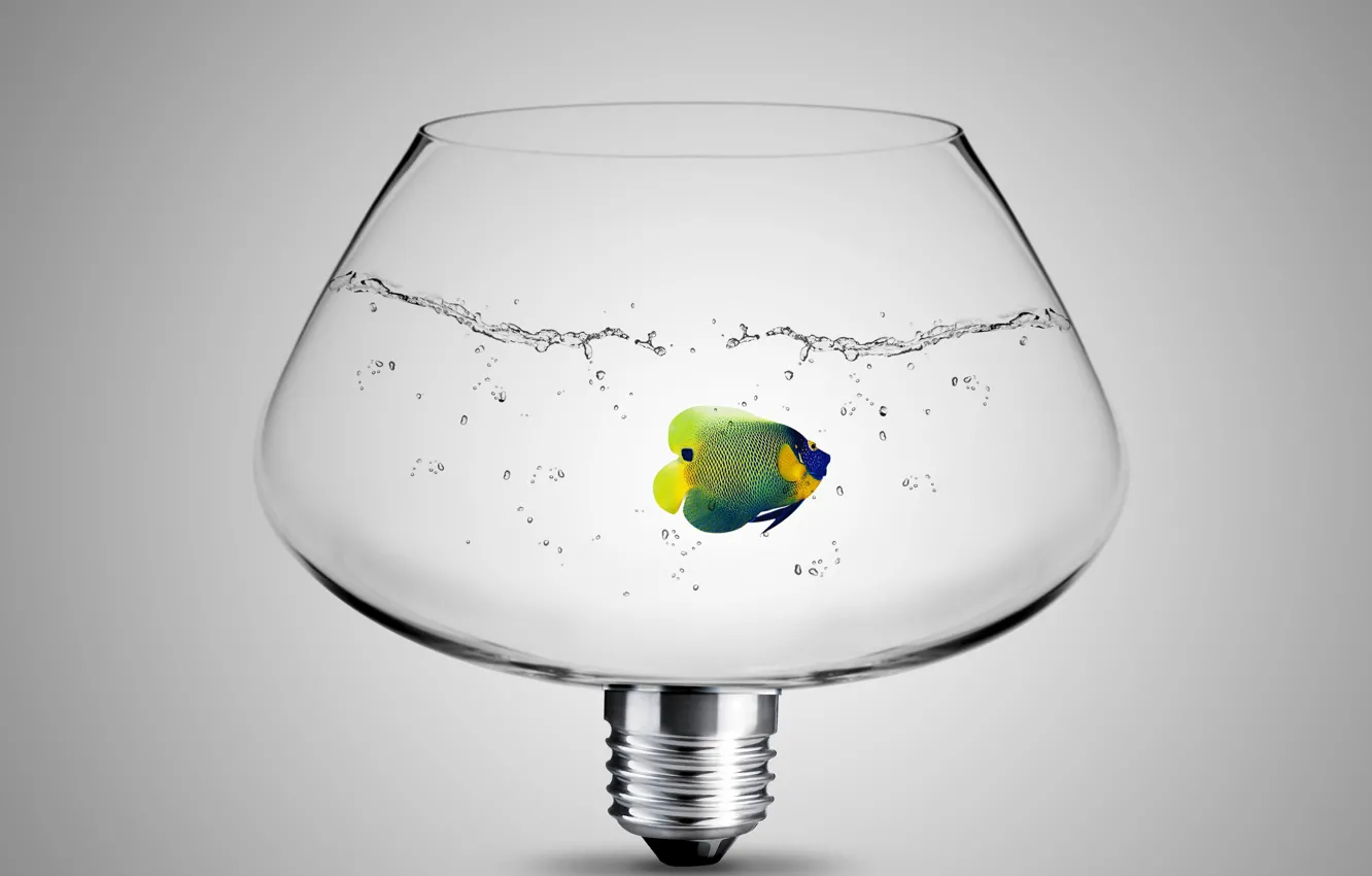Photo wallpaper glass, light bulb, water, fish
