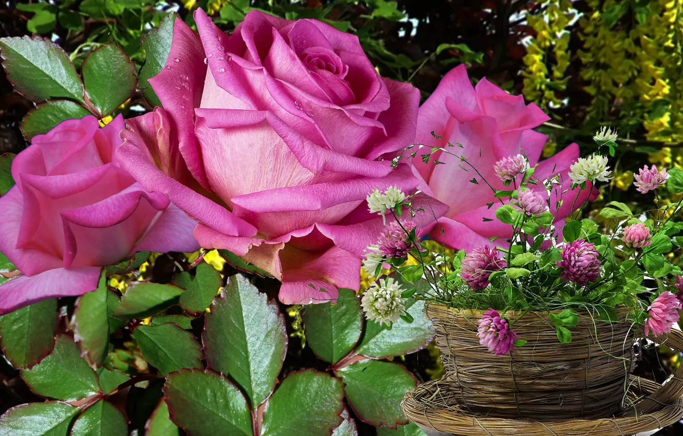 Photo wallpaper flowers, rose, clover