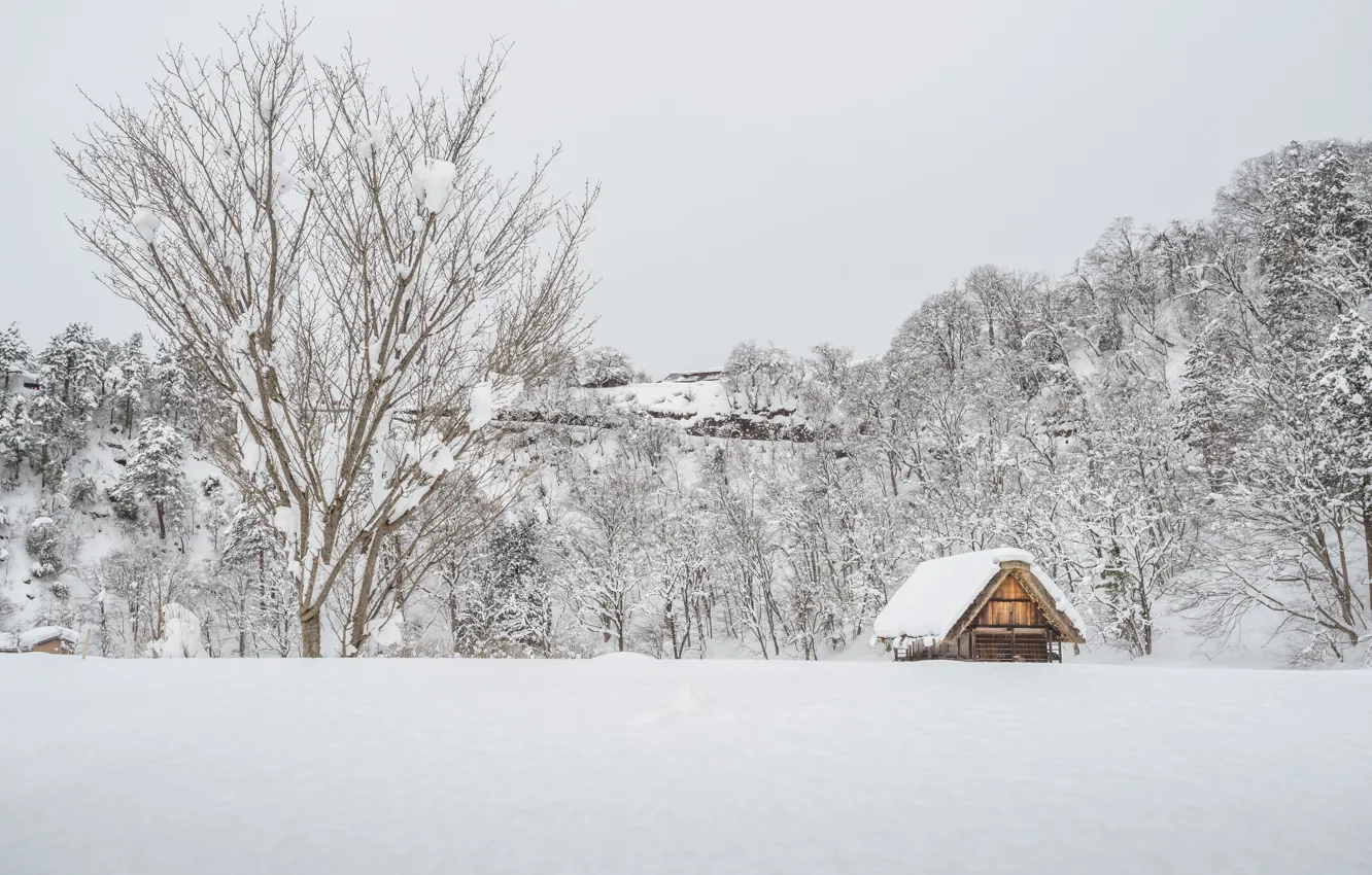 Photo wallpaper winter, snow, trees, landscape, winter, house, hut, landscape