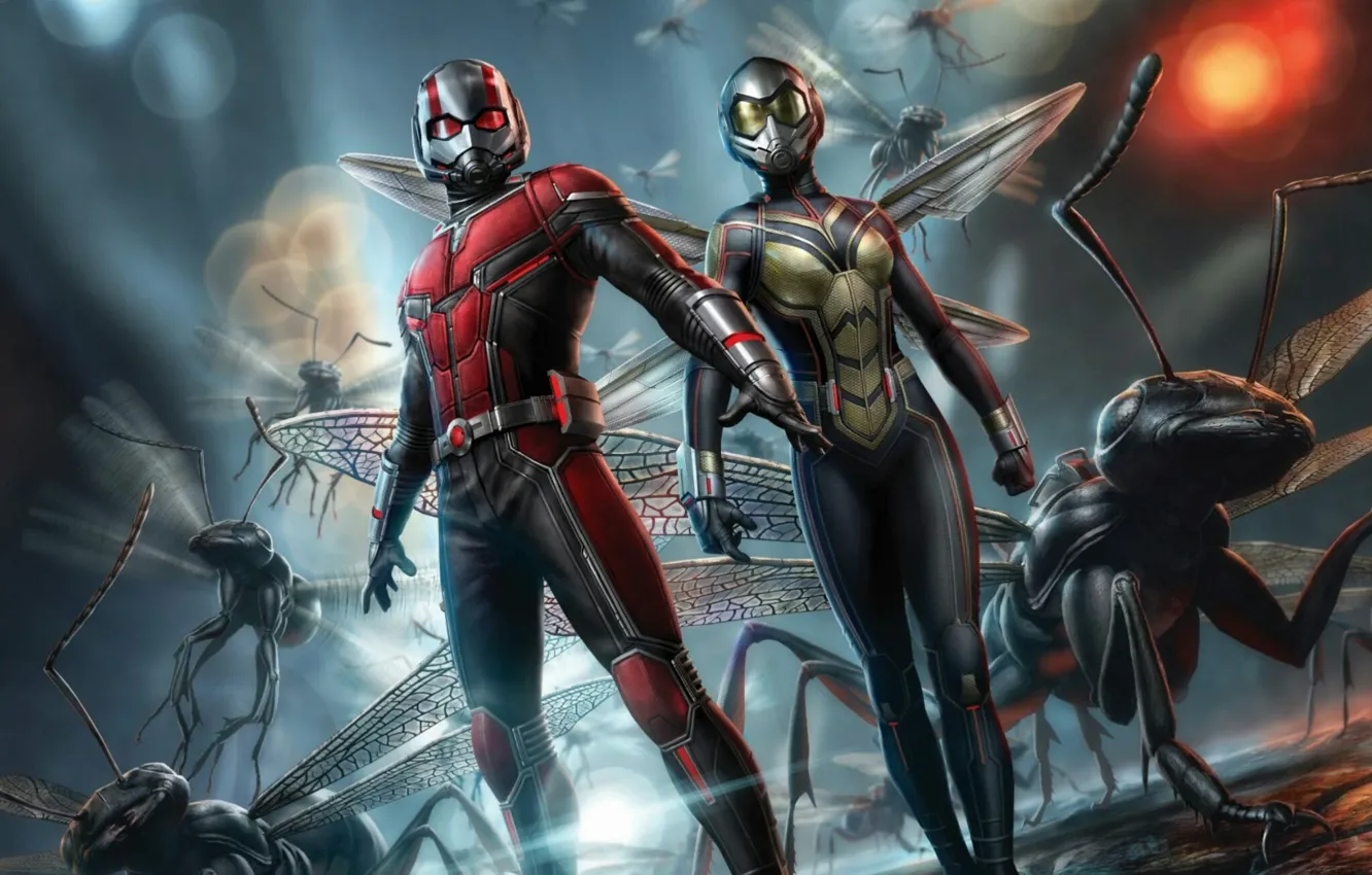 Photo wallpaper ants, Marvel, promo, Ant-man, Ant-Man and the Wasp, Ant-man and Wasp, Promo Art