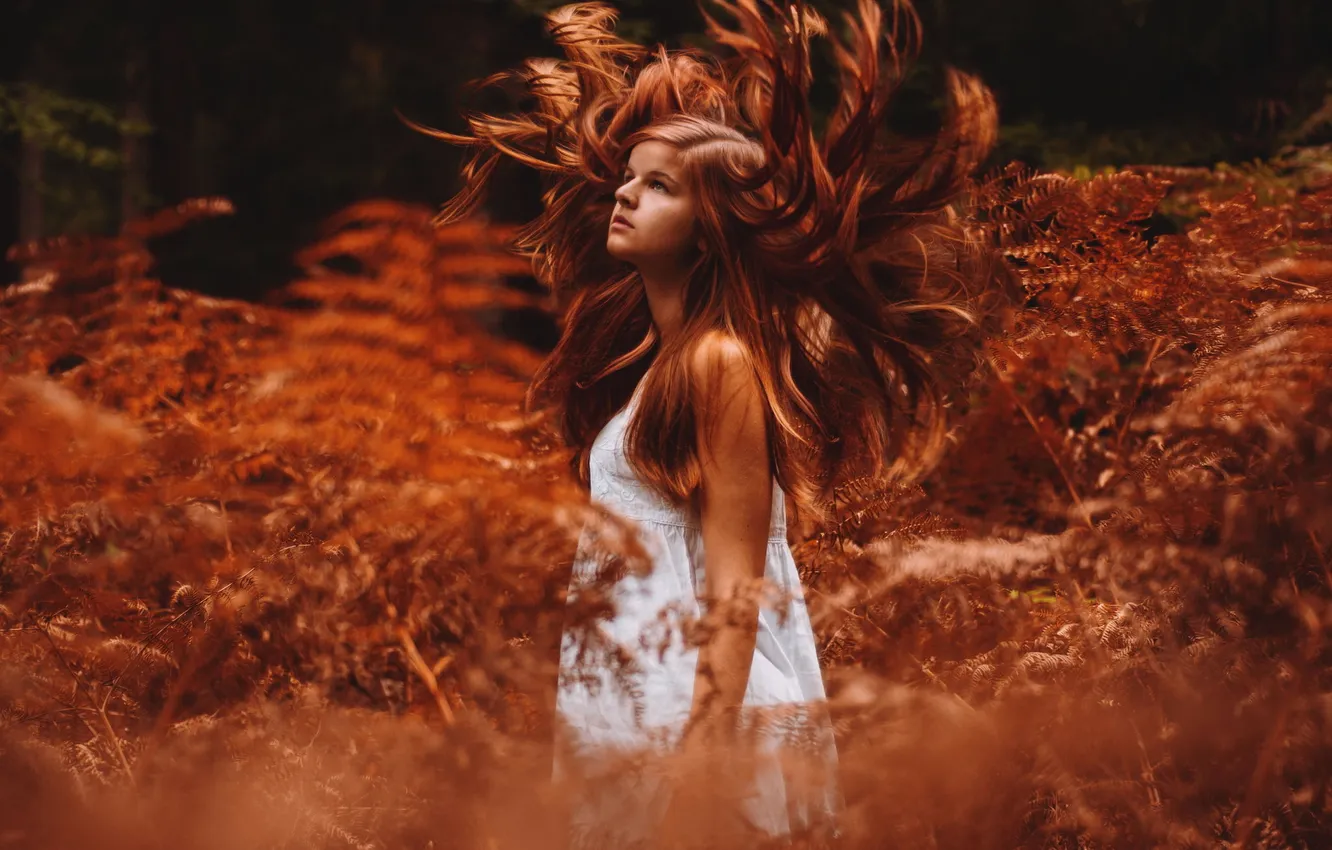 Photo wallpaper look, girl, nature