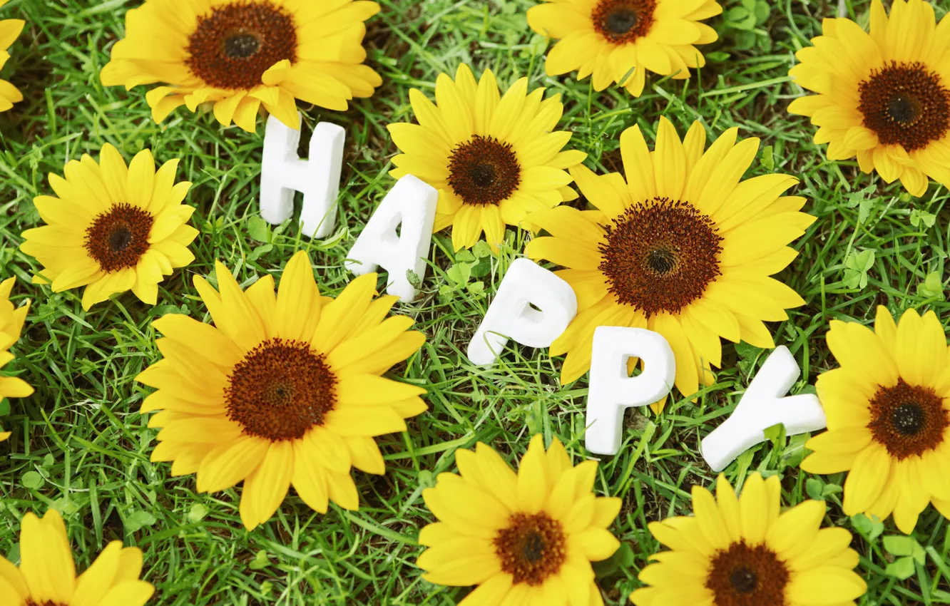 Photo wallpaper grass, flowers, chamomile, Happy