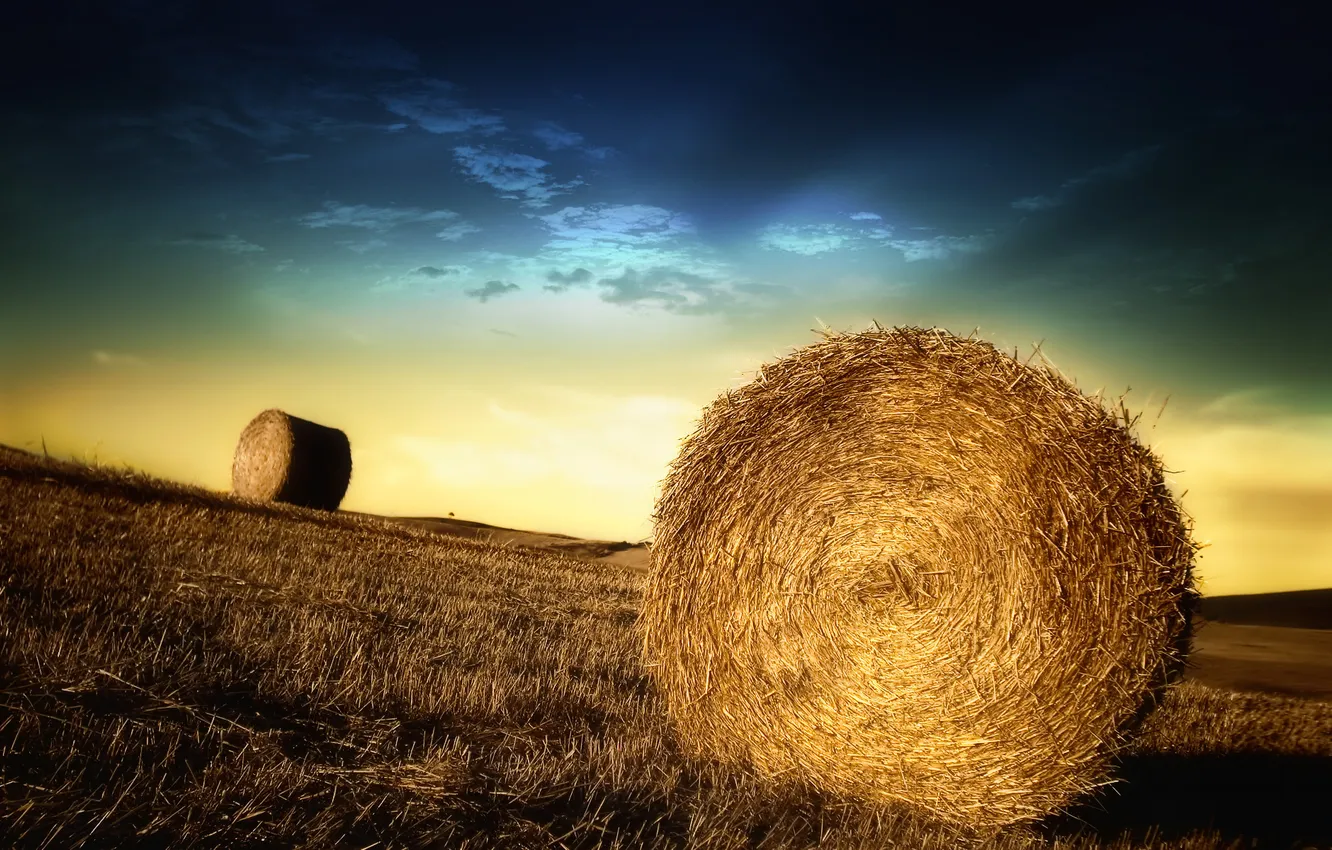 Photo wallpaper field, the sky, rolls