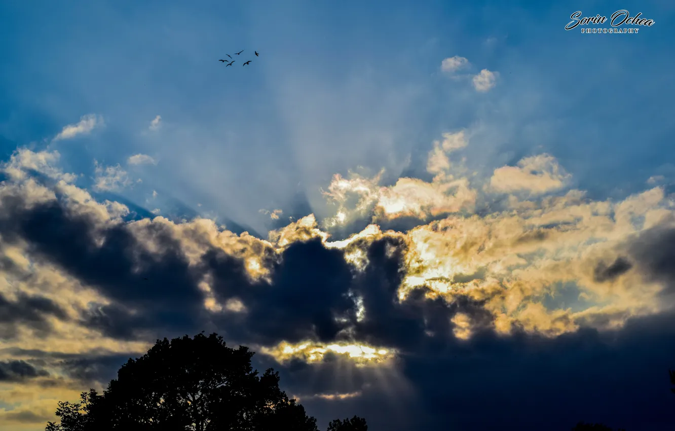 Photo wallpaper sky, nature, sunset, clouds