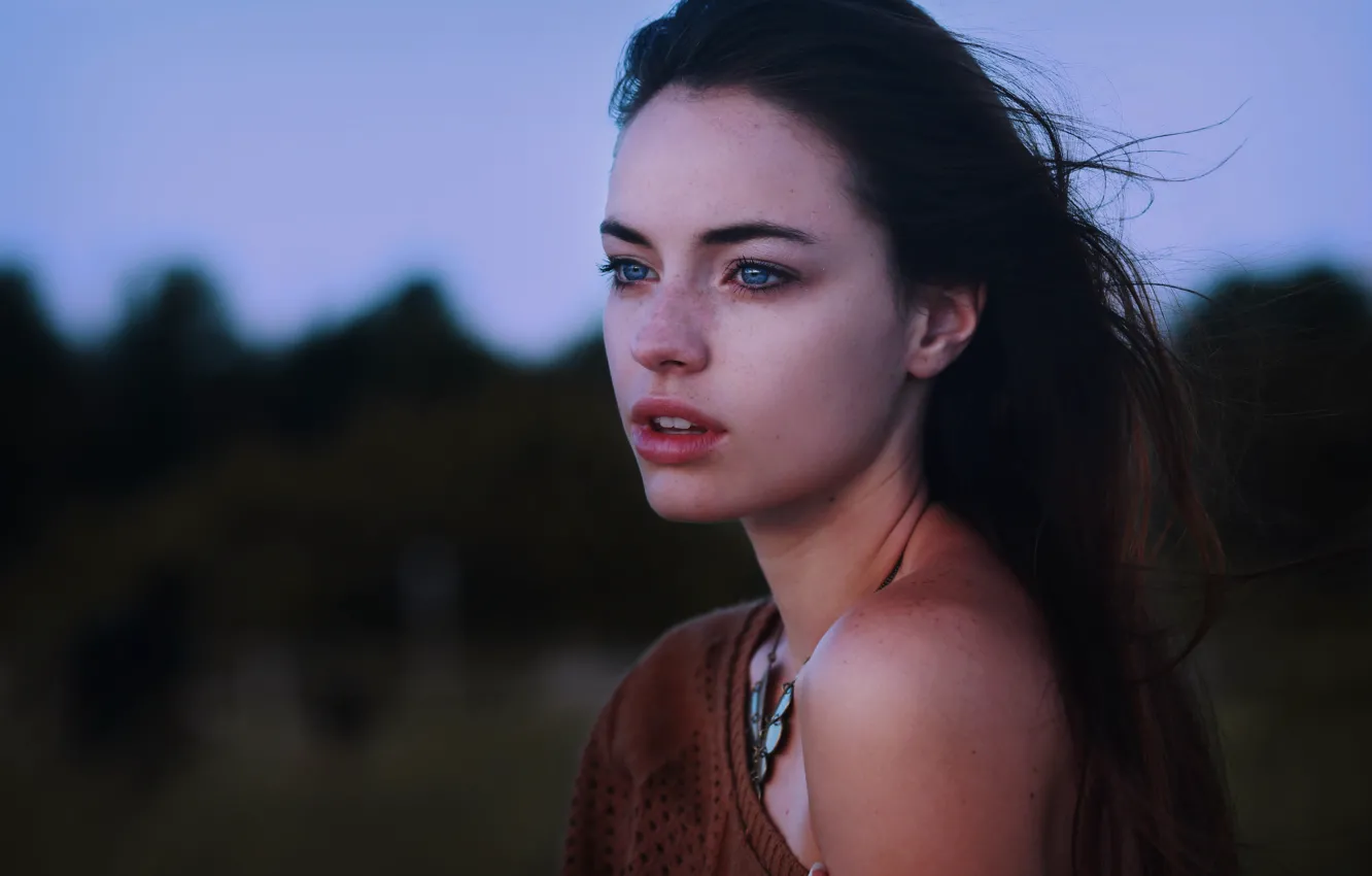 Photo wallpaper the sky, girl, face, hair, brunette