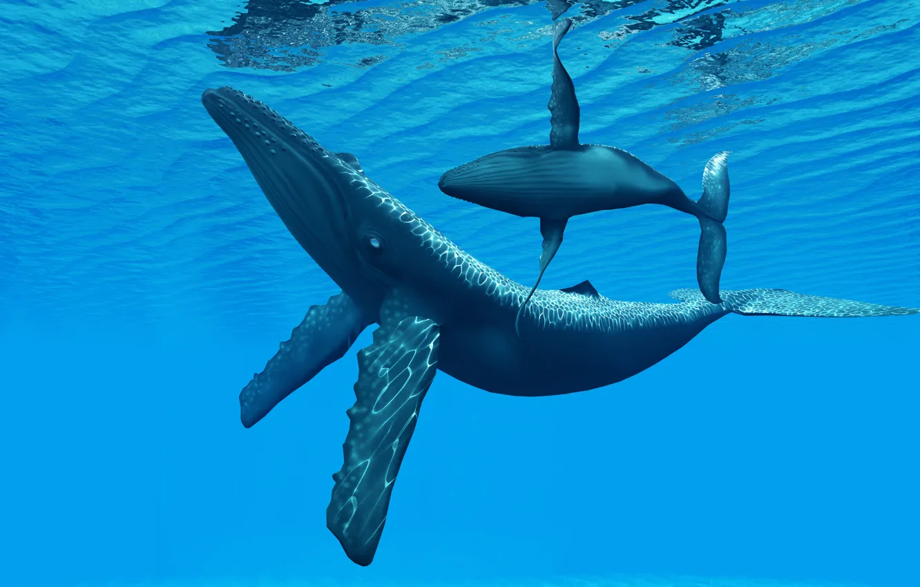 Photo wallpaper water, the ocean, depth, kit