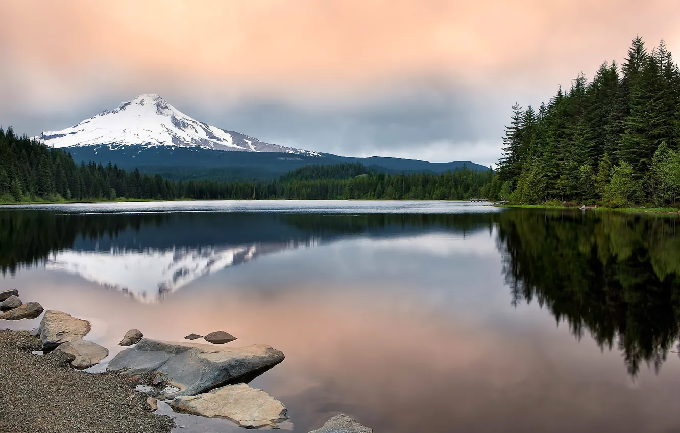 Photo wallpaper forest, water, landscape, mountains, nature, reflection, Oregon, mount hood