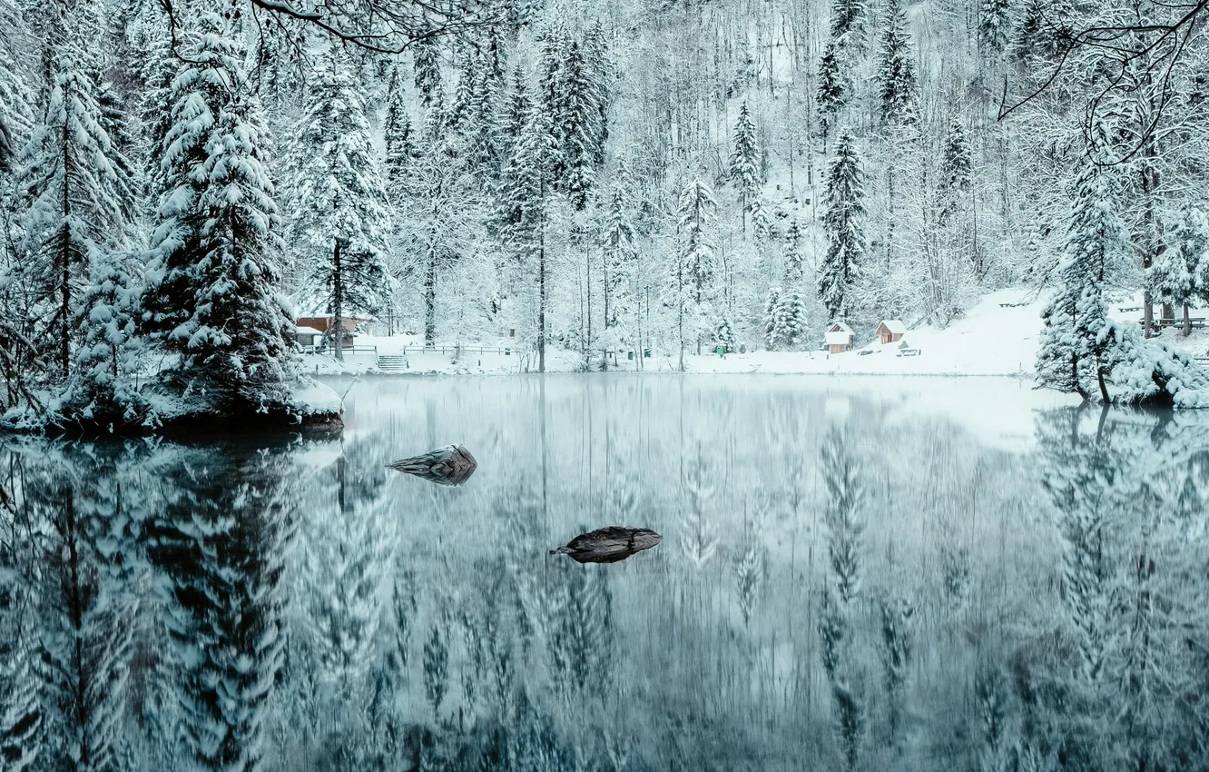 Photo wallpaper winter, forest, snow, landscape, nature, lake