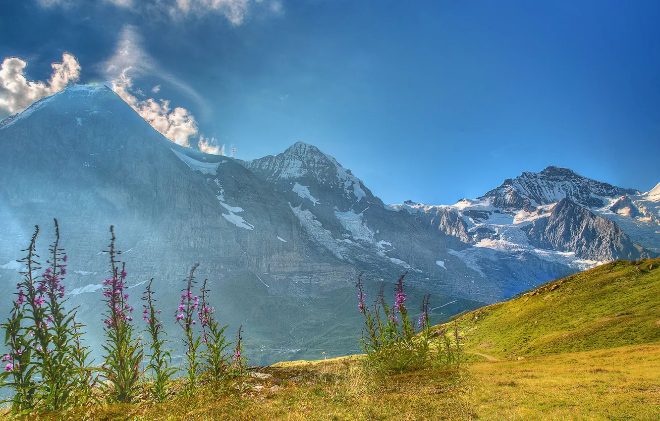 Photo wallpaper the sky, grass, the sun, clouds, flowers, mountains, rocks, Switzerland