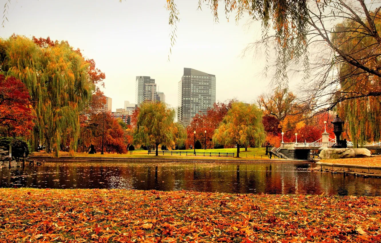 Photo wallpaper autumn, trees, pond, Park, foliage, building, USA, the bridge