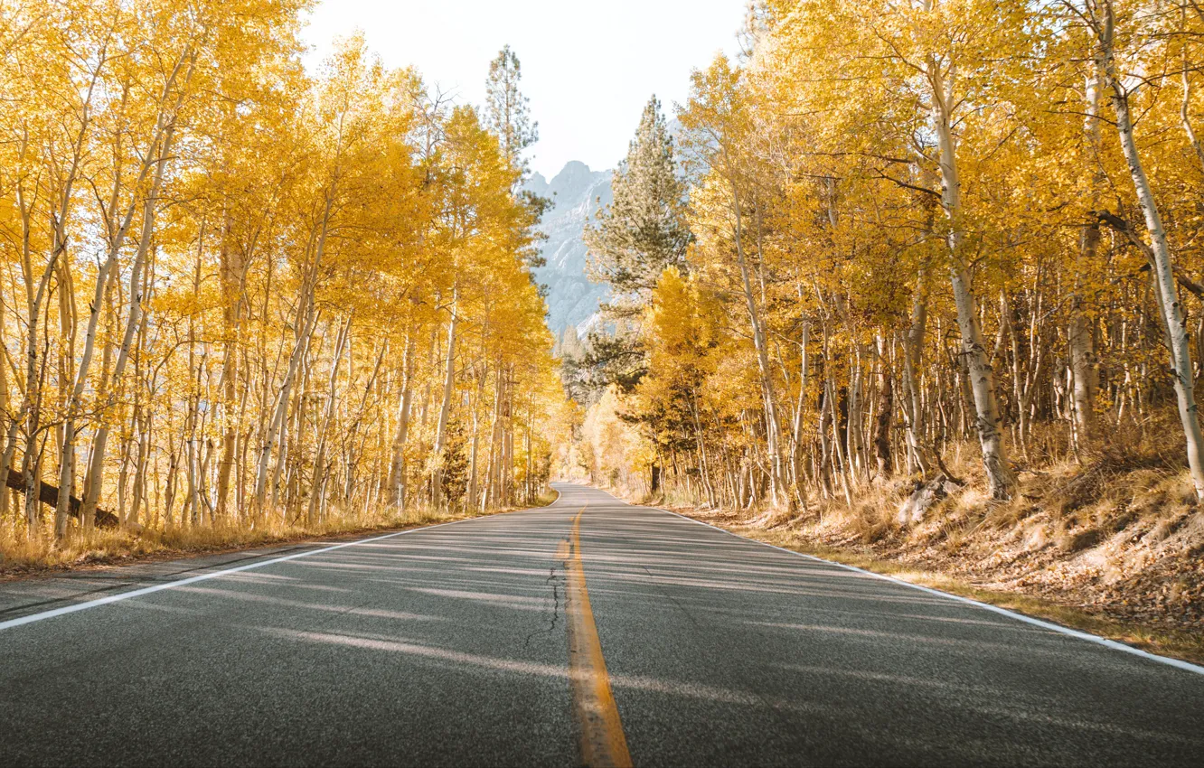 Photo wallpaper road, trees, yellow, autumn, mountains, leaves, landscapes, asphalt
