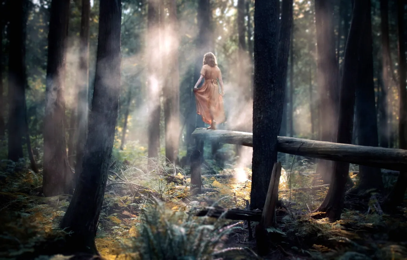 Photo wallpaper forest, girl, trees, dress, trunk, frame