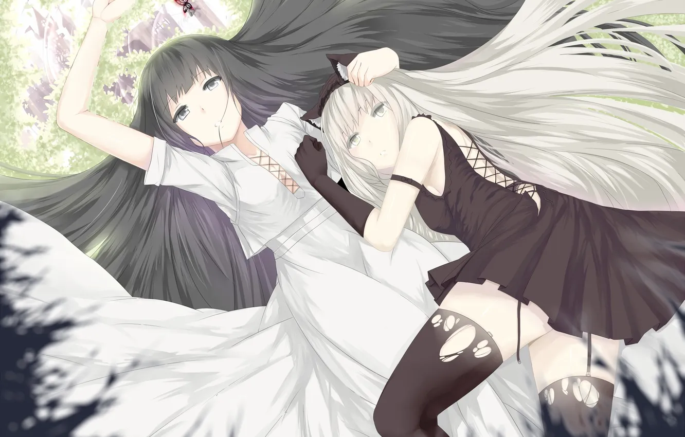 Photo wallpaper butterfly, original, hews