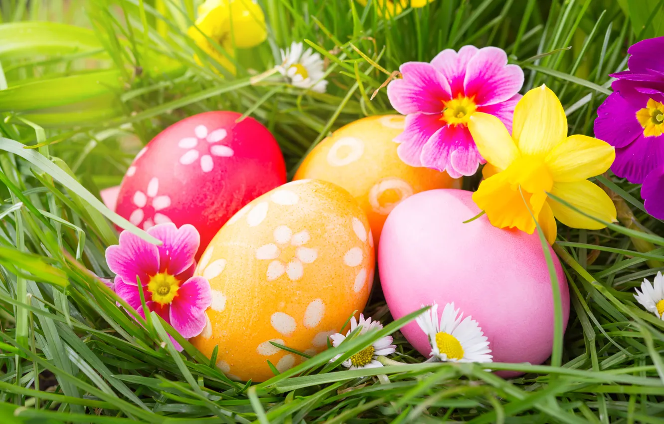 Photo wallpaper flowers, eggs, spring, Easter, flowers, spring, Easter, eggs