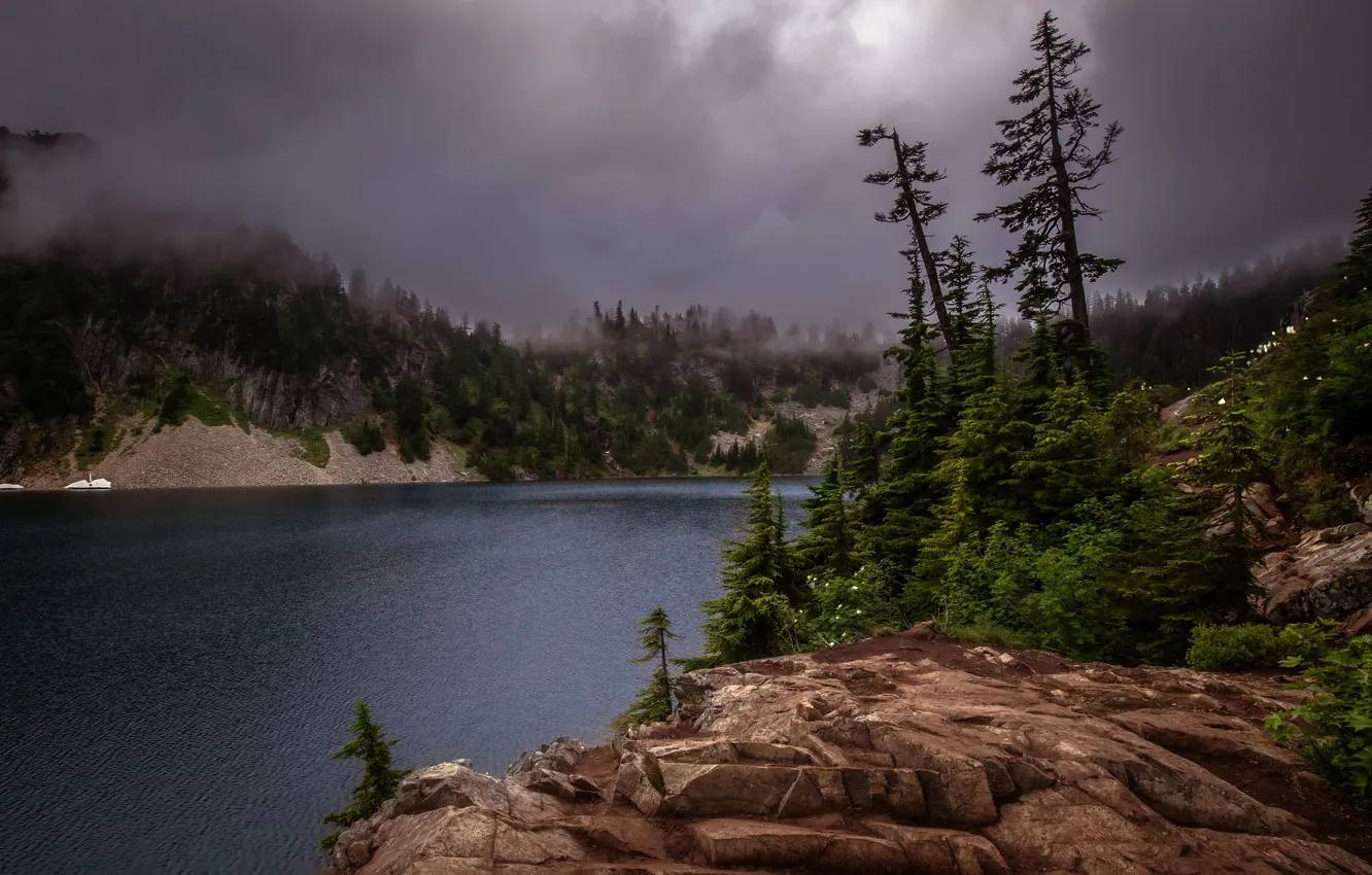 Photo wallpaper forest, trees, mountains, clouds, fog, lake, river, stones