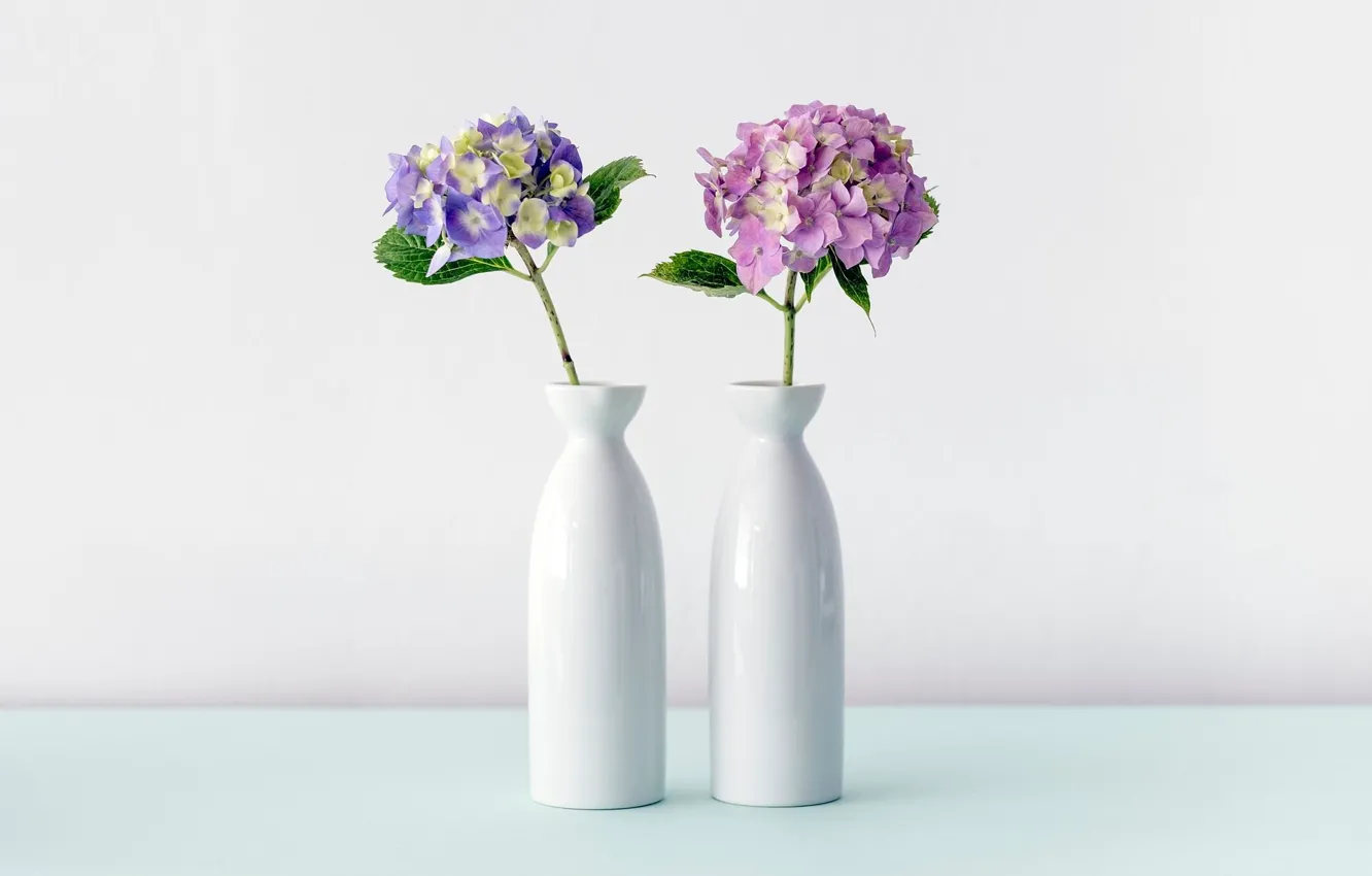 Photo wallpaper Flower, White, Vase