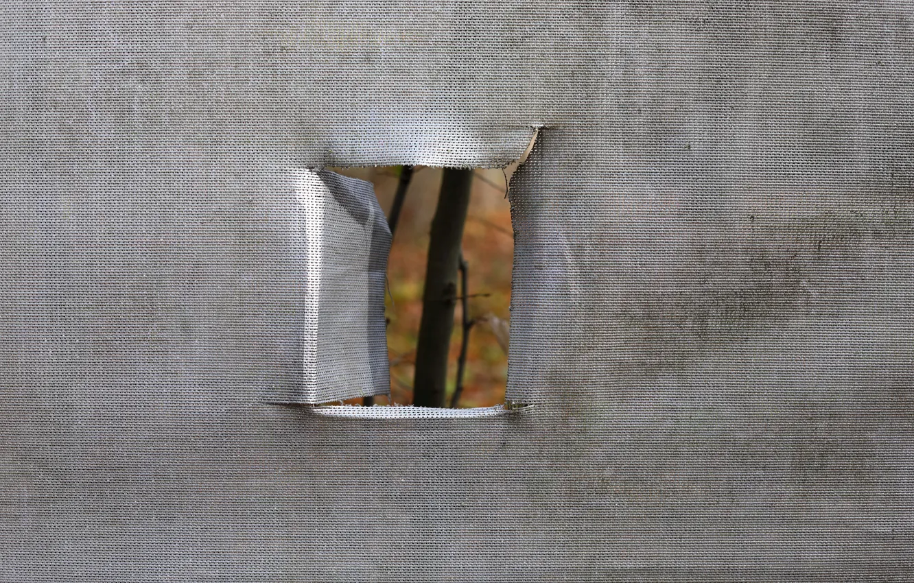 Photo wallpaper nature, window, quarantine, insulation