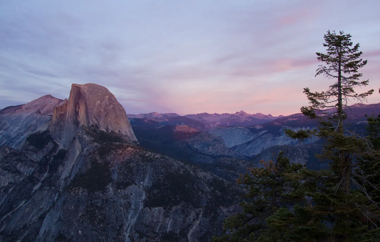 Photo wallpaper the sky, clouds, trees, mountains, nature, rocks, dawn, morning