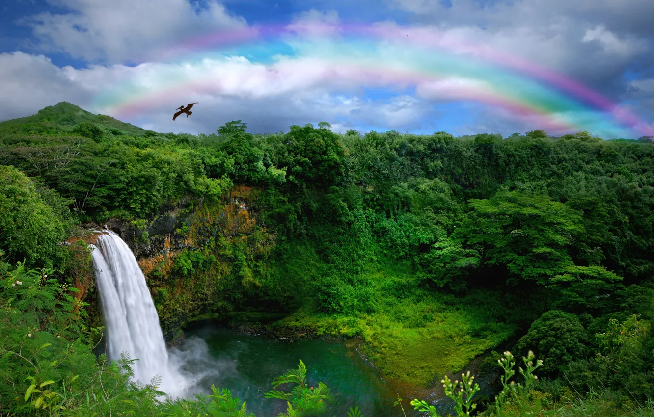 Photo wallpaper forest, nature, waterfall, jungle, Hawaii