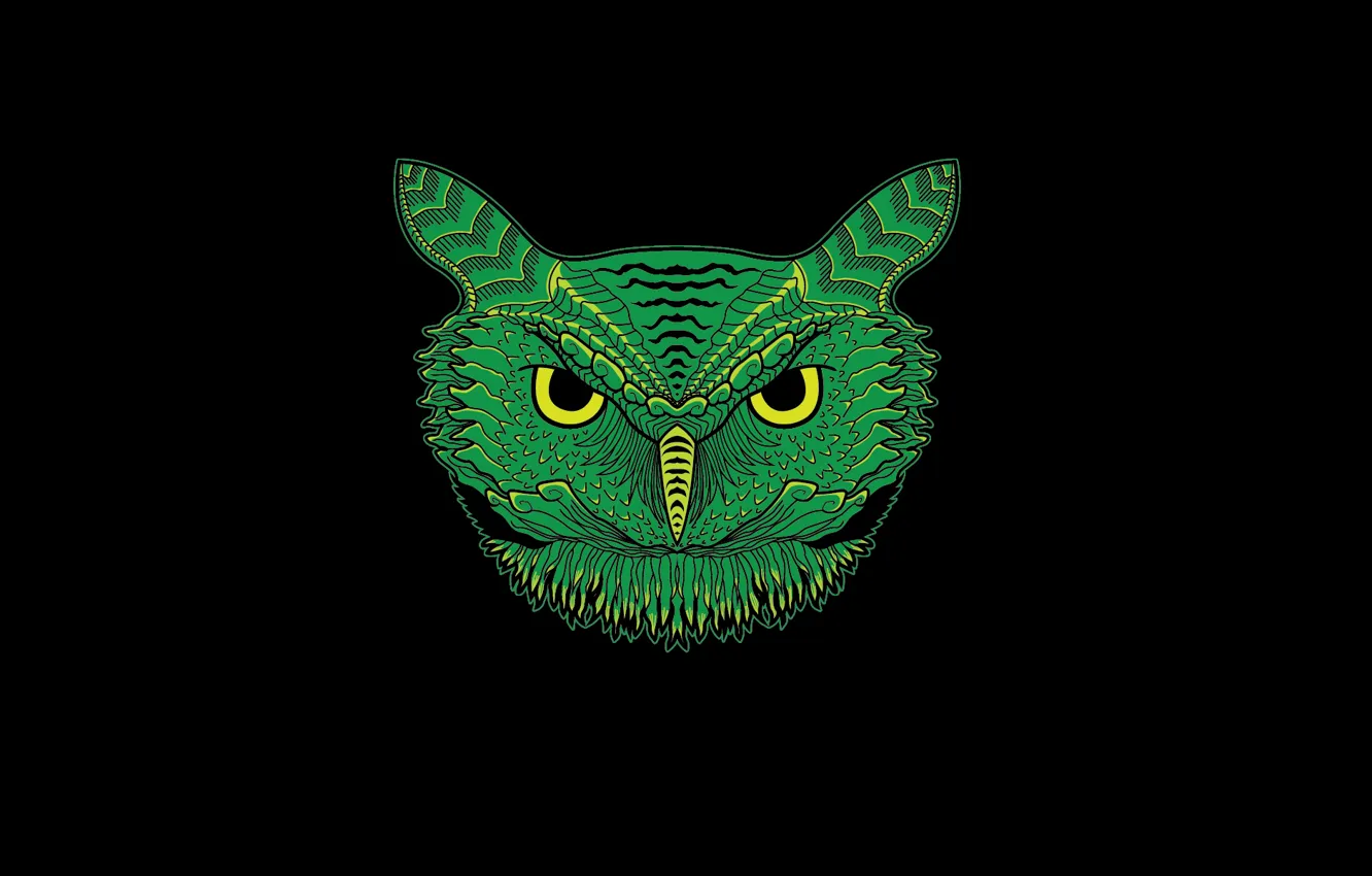 Photo wallpaper green, owl, minimalism, head, black background, owl