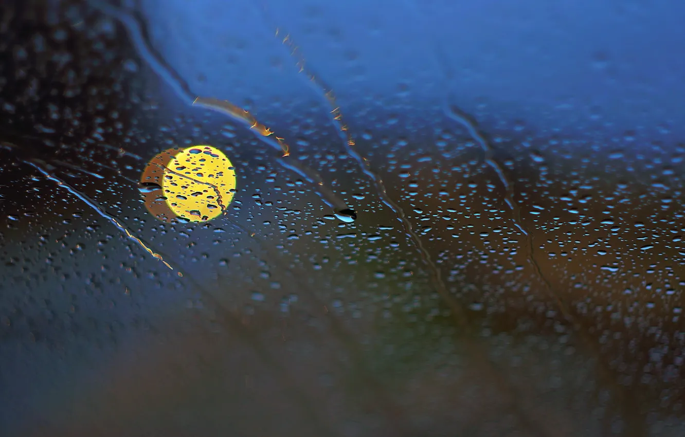 Photo wallpaper glass, drops, background