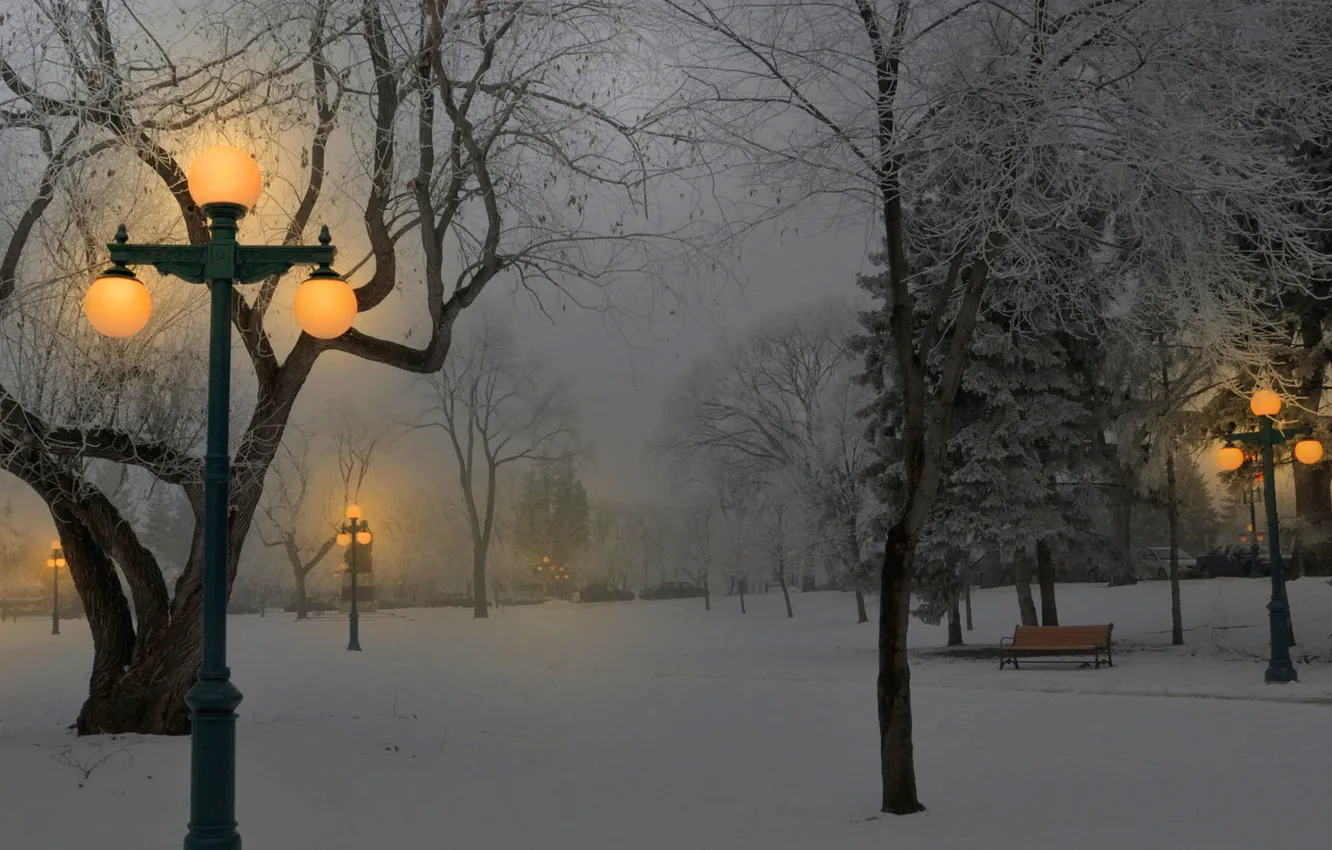 Photo wallpaper winter, light, snow, bench, Park, lights