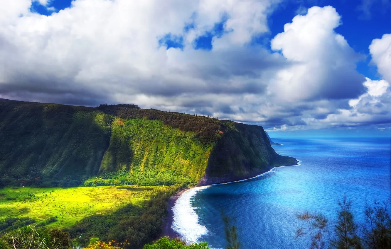 Photo wallpaper sea, the sky, clouds, trees, mountains, Cape