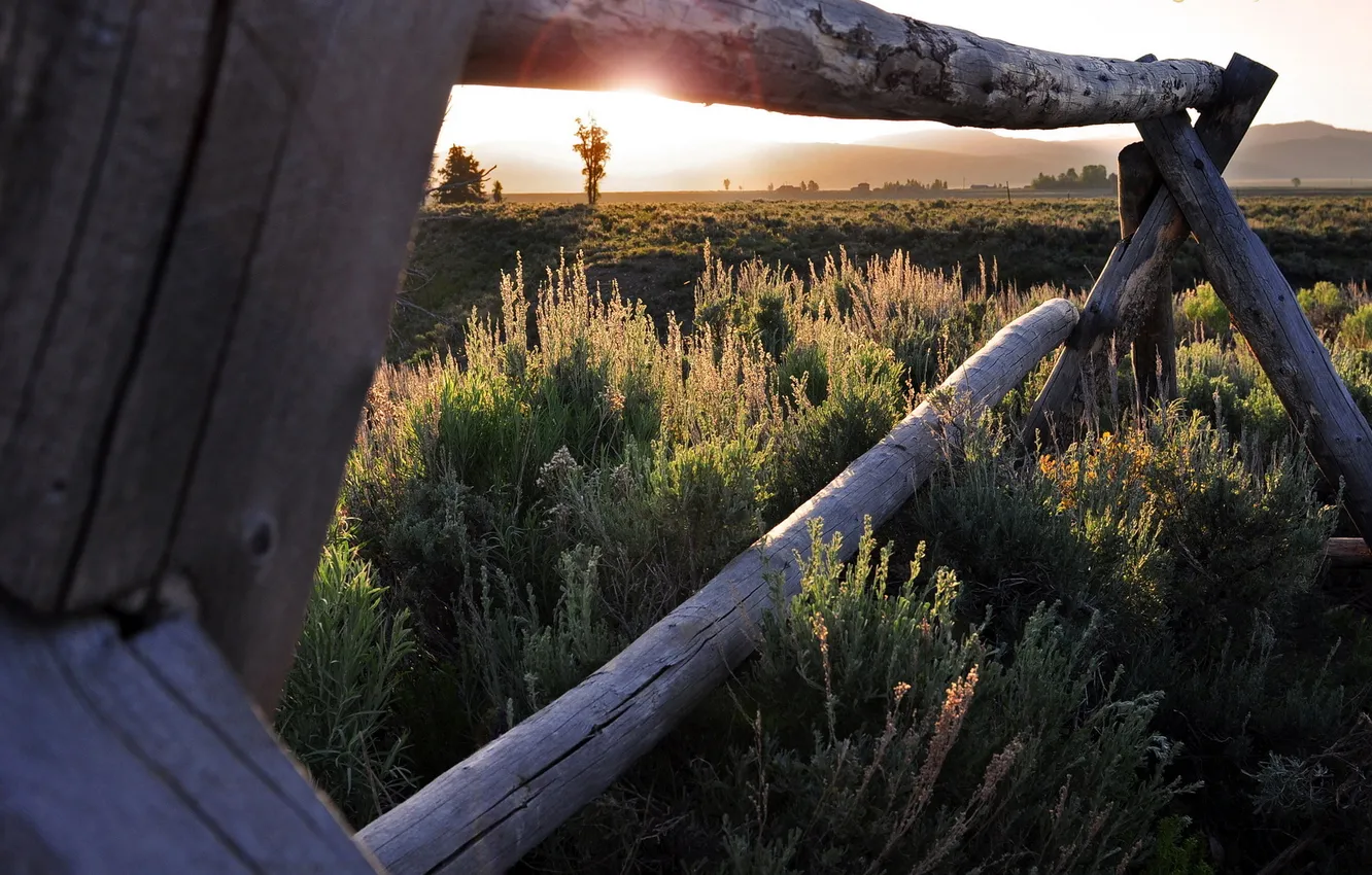 Photo wallpaper field, light, the fence
