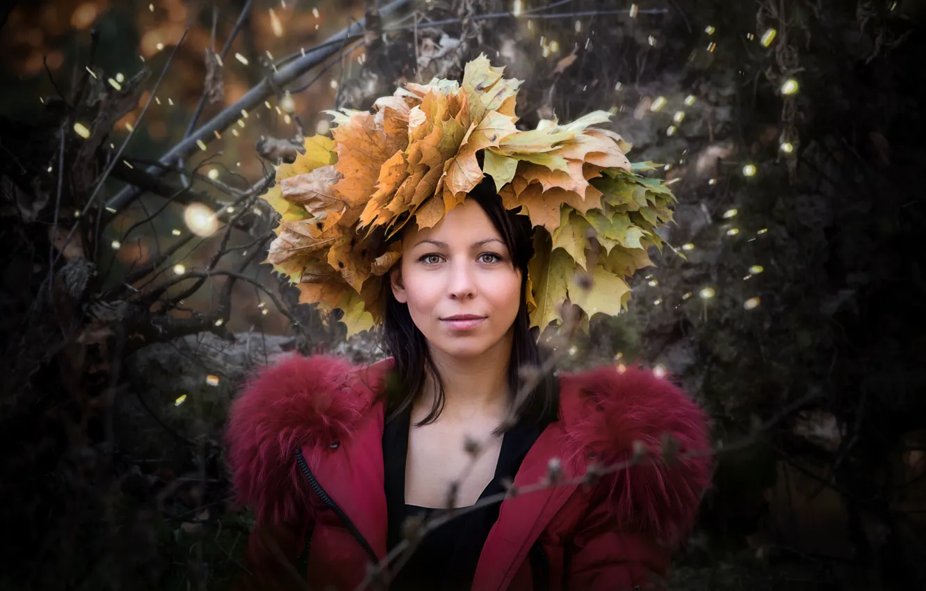 Photo wallpaper autumn, girl, mood, the situation, other