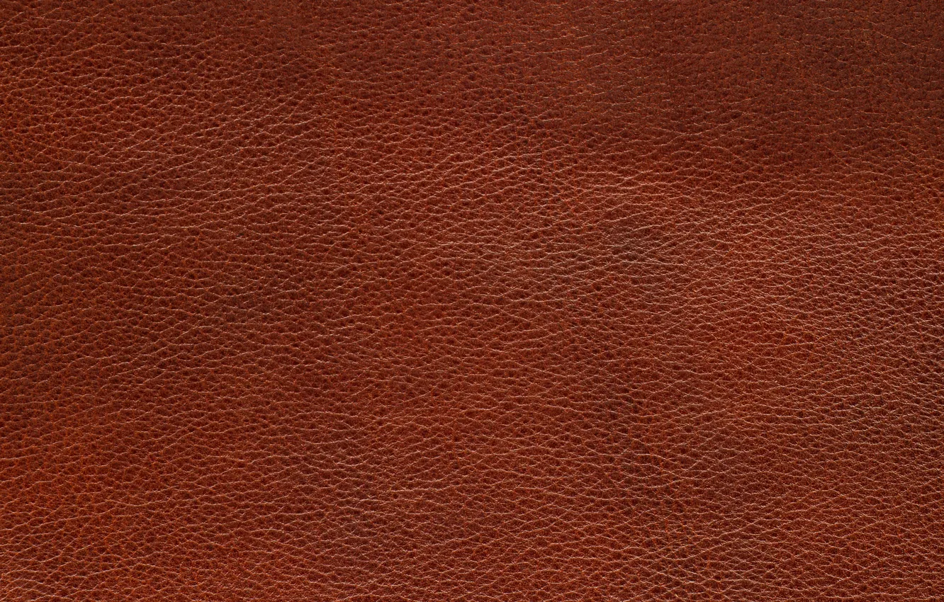 Photo wallpaper leather, texture, leather, skin