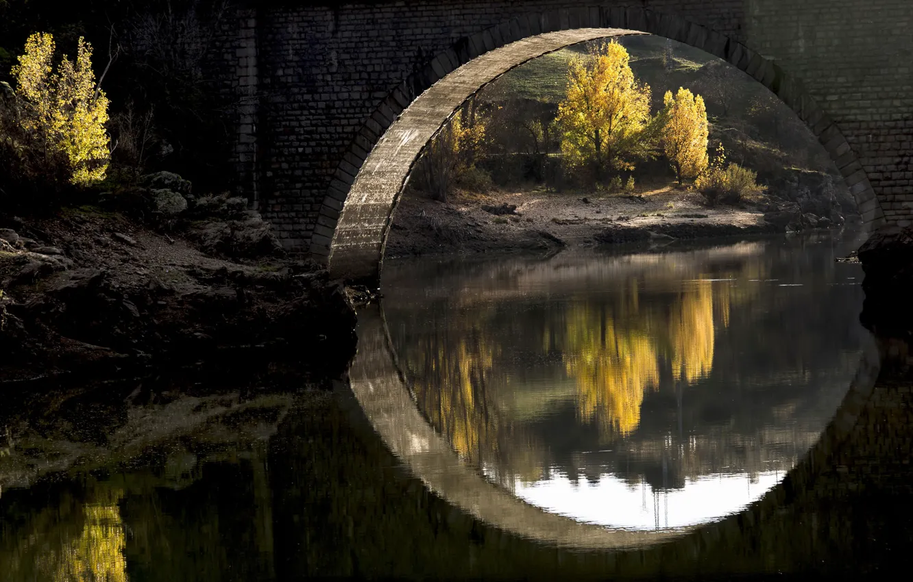 Photo wallpaper light, trees, bridge, nature, river