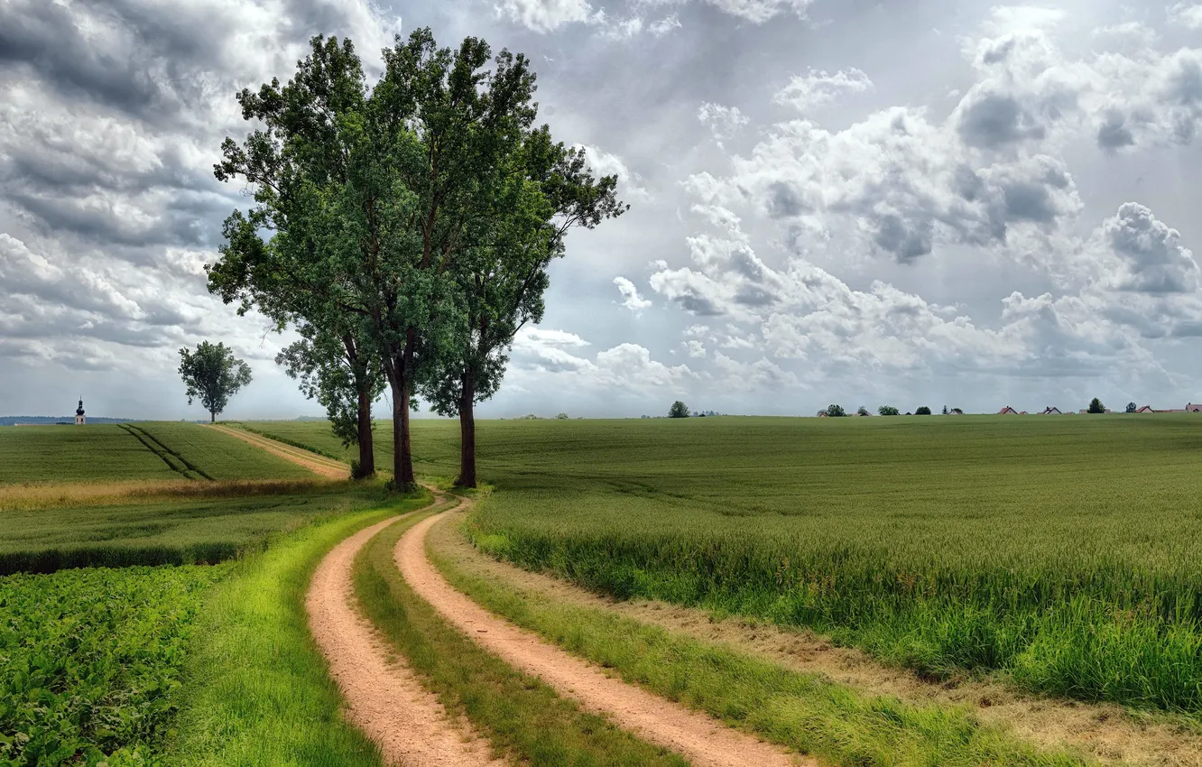 Photo wallpaper Bavaria, The District Of Regensburg, Thalmassing