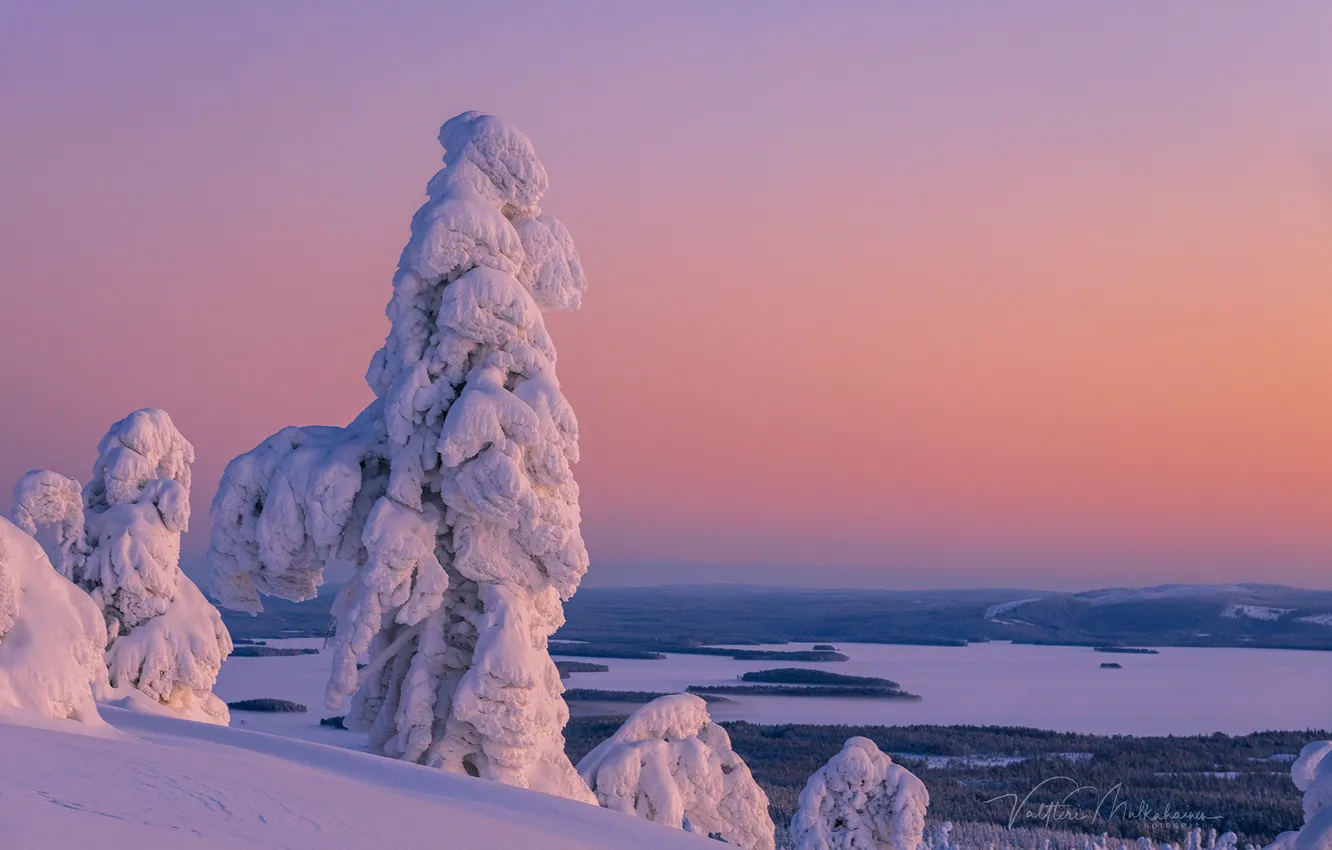 Photo wallpaper winter, snow, trees, landscape, nature, morning, forest, Finland